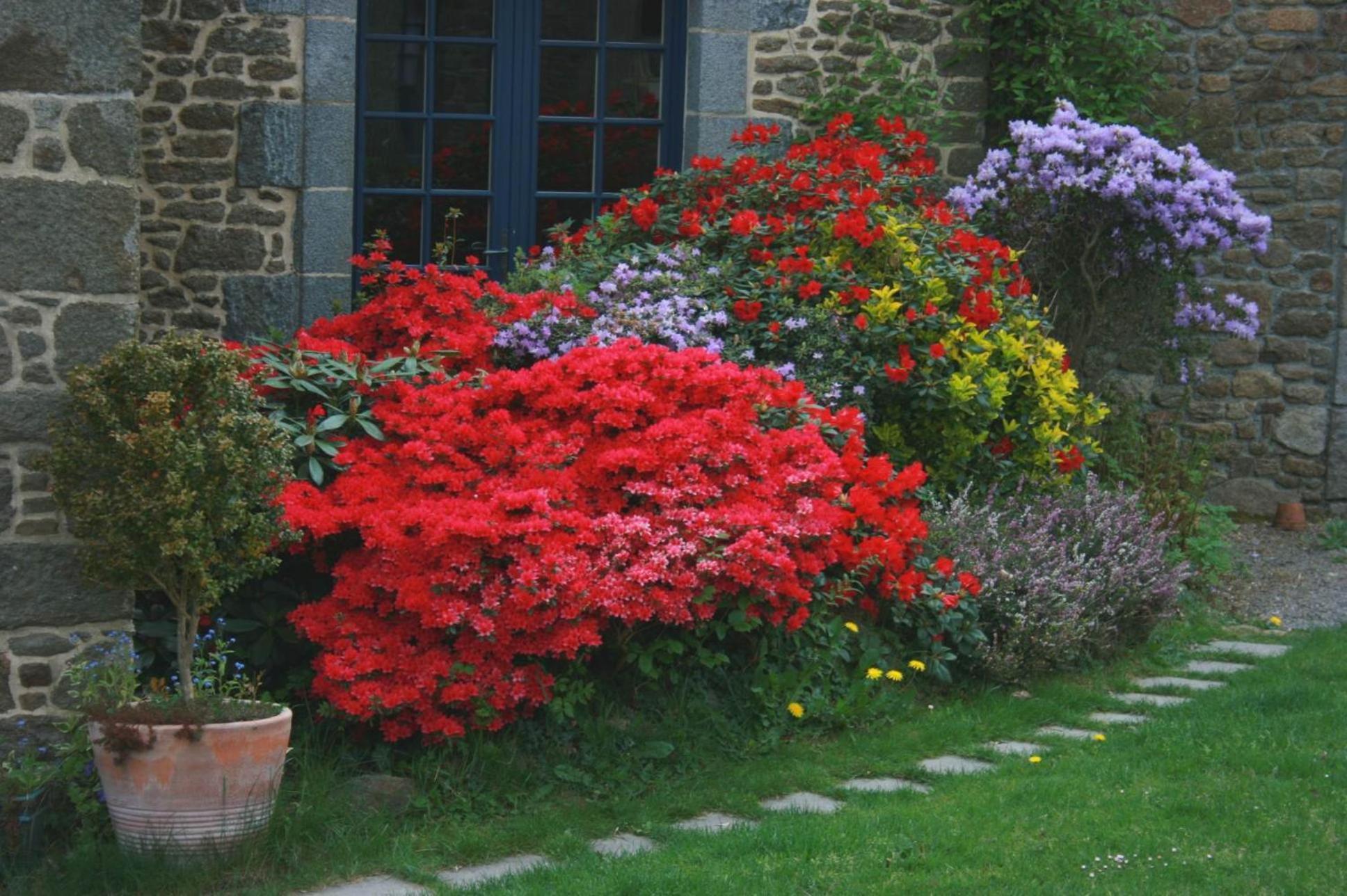 Bed and Breakfast Au Pont Ricoul Saint-Pierre-de-Plesguen Экстерьер фото